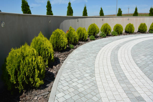 Best Custom Driveway Pavers  in Geneva, FL